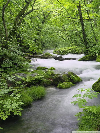 Desktop Wallpaper Rocks Bridge River Nature 4k Hd Image Picture  Background 30571e