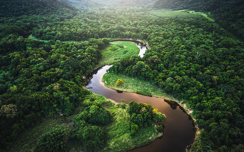 Amazon River Winding Through Atlantic Rainforest In - Amazon Rainforest -, Brazil Rainforest HD wallpaper
