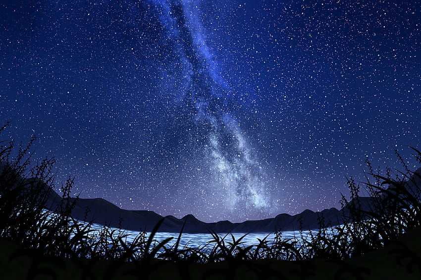 ธรรมชาติ หญ้า ท้องฟ้า ศิลปะ ดวงดาว กลางคืน ท้องฟ้าเต็มไปด้วยดวงดาว ทางช้างเผือก วอลล์เปเปอร์ HD