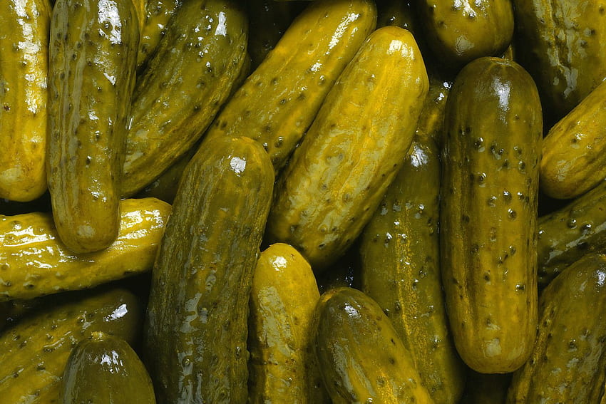 Pickles HD wallpaper