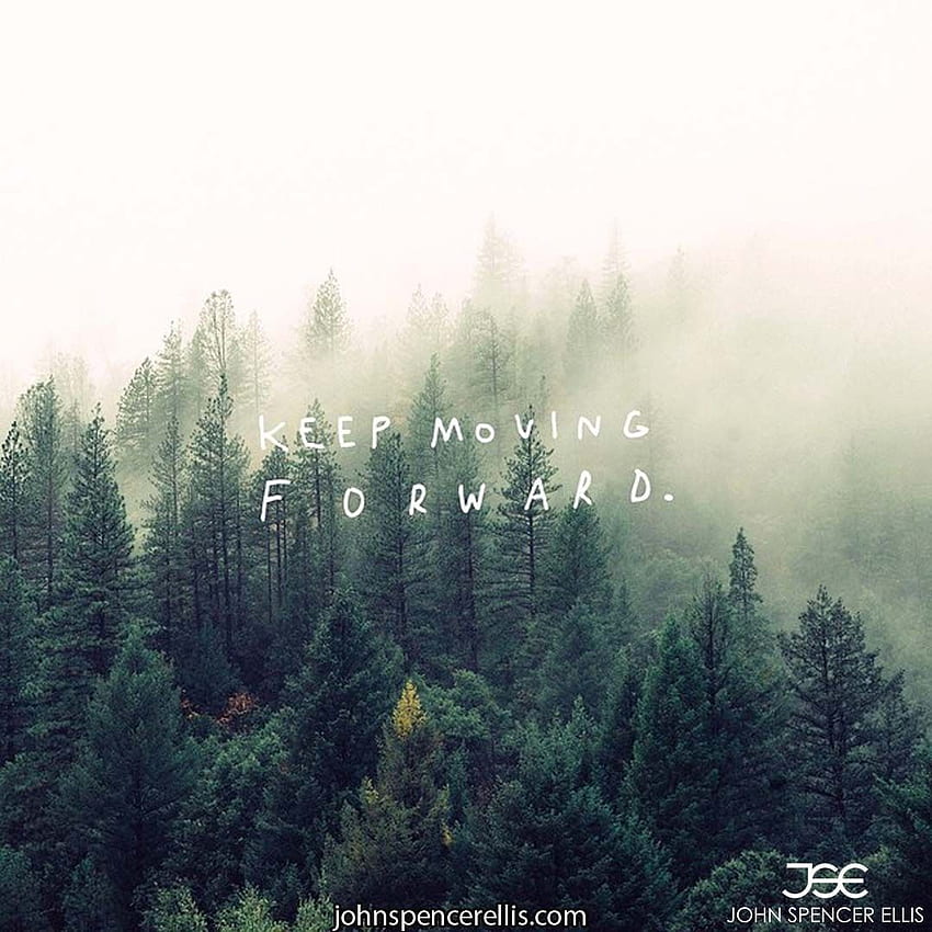 keep moving forward. expert business advisors. find a business mentor for . personal development success quotes. Forest , Foggy forest, Nature prints HD phone wallpaper