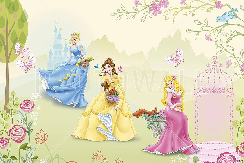Disney Princess Bird Flower Castle Wall Murals Art HD wallpaper