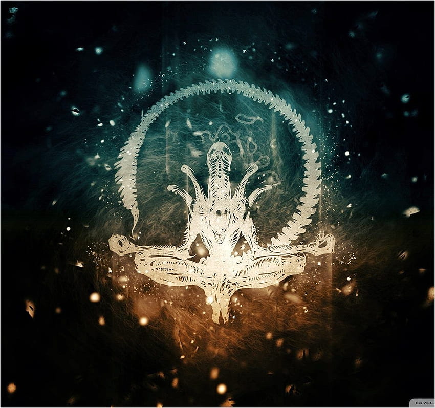 Alien Zen - VIP, Zen Hitam Wallpaper HD