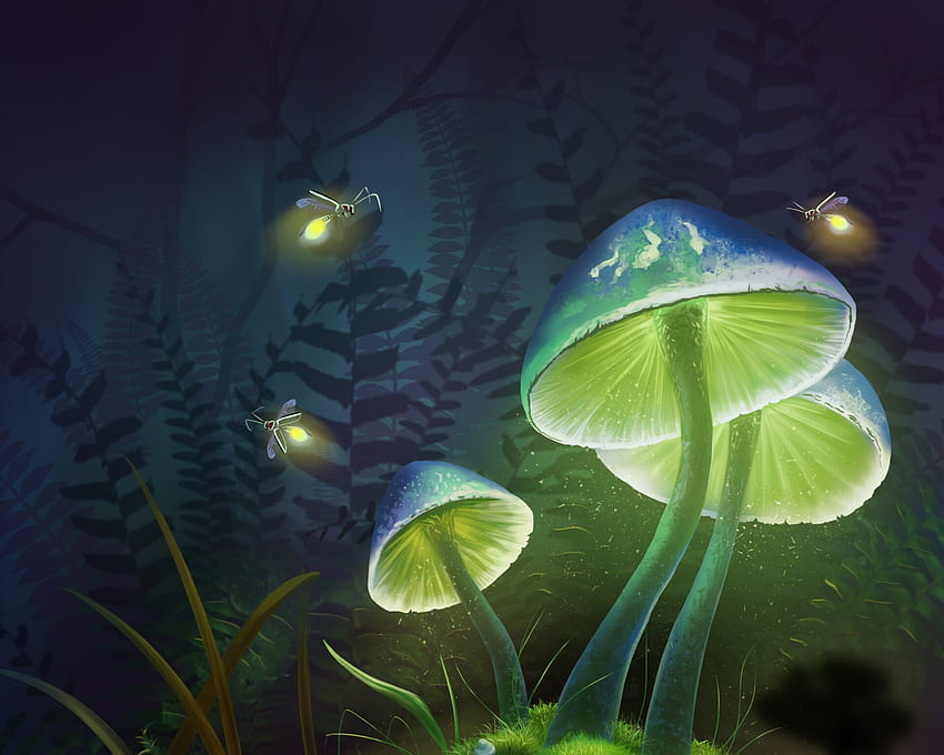 Mushrooms, firefly, fantasy, art, green, into the bear, luminos, mushroom, intothebear HD wallpaper