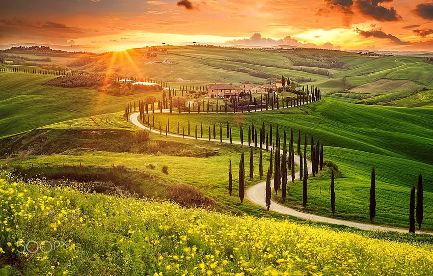 The Sun, Valley, Italy, Tuscany, Derevya HD wallpaper