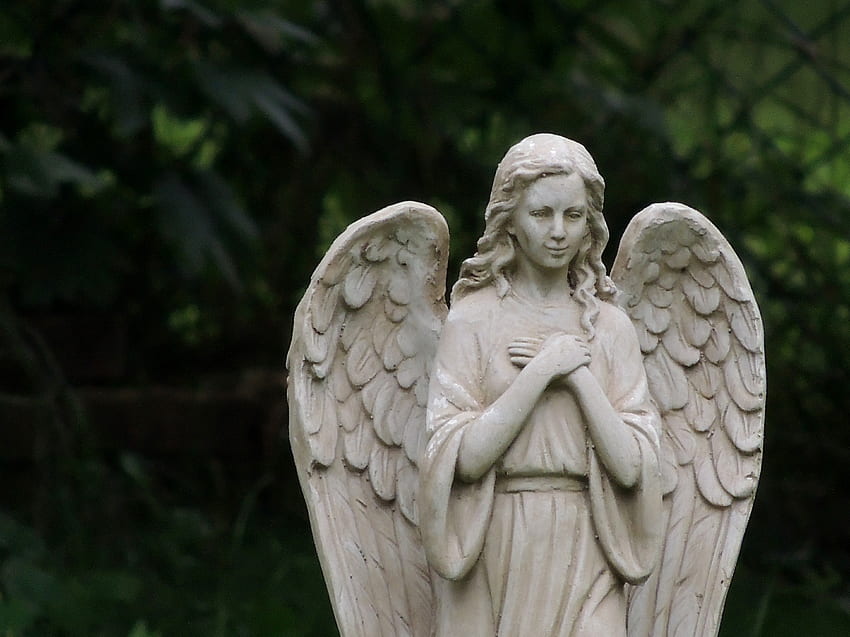 alas de un ángel, resumen, grafía, alas, religioso, ángel fondo de pantalla
