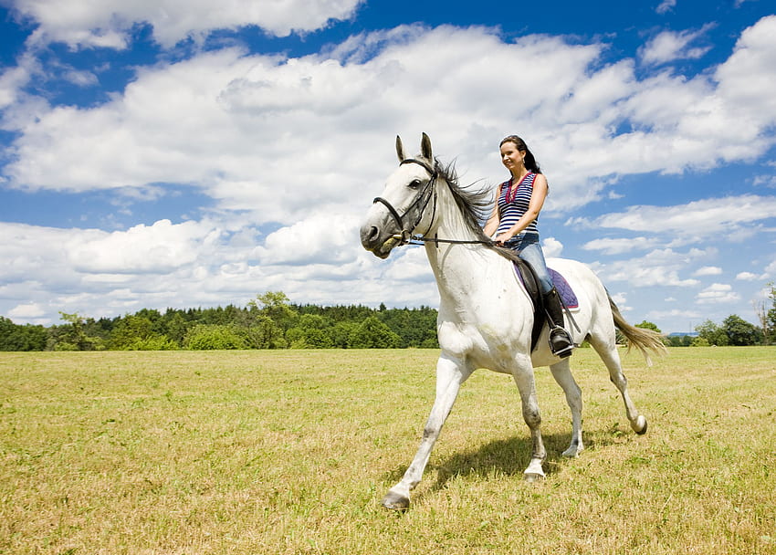 Latar Belakang Berkuda. Pelajaran menunggang kuda, Kuda, Menunggang kuda Wallpaper HD
