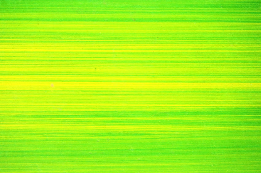 : Bright Green Lines Background - Abstract, Artistic, Web - HD wallpaper