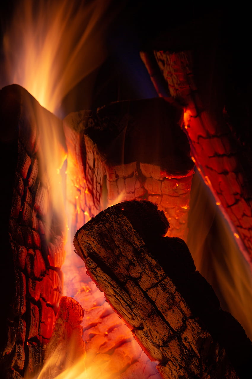 Fire, Coals, Dark, Flame, Firewood, To Burn, Burn HD phone wallpaper