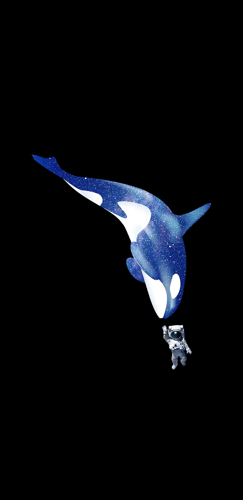 Orca and Astronaut. Orca , iPhone whale, Orca iphone HD phone wallpaper