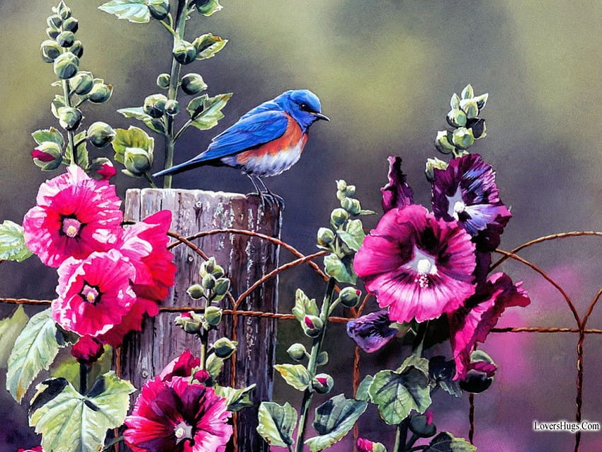 ✰Blue birds with colorful flowers✰, blue, colorful, birds, cute, houses, warmth, painting, animals, fence, splendid, gorgeous, beautiful, fresh, pink, pretty, love, Blue birds with colorful flowers, cool, street, nature, flowers, tender touch, lovely, splendor HD wallpaper