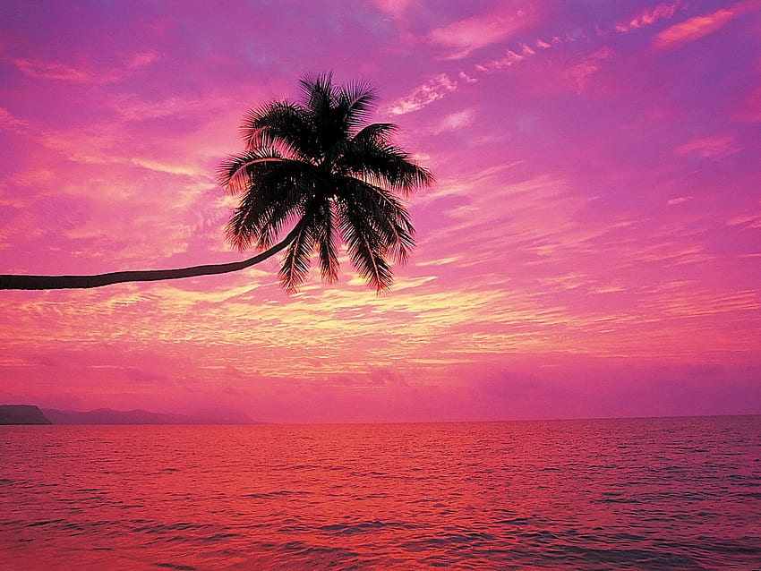 Sunset Background For iPad -, Sunset Beach HD wallpaper