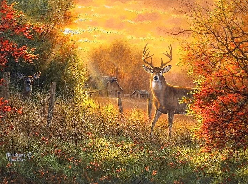 Touch color of Autumn, attractions in dreams, colors, paintings, love four seasons, rural, animals, deer, autumn, nature, fall season HD wallpaper