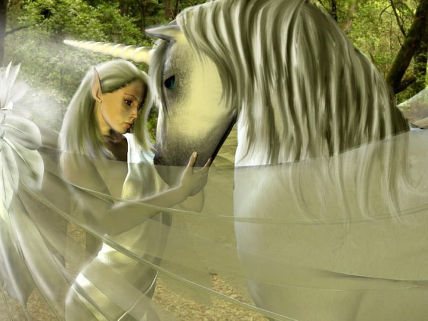 Endless Love, unicorn, elfin angel, love HD wallpaper