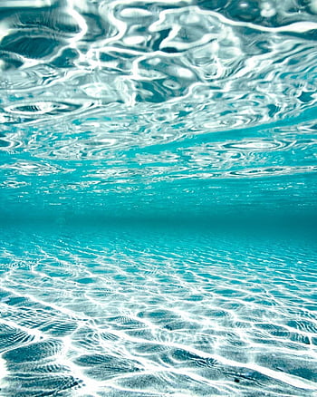 Chụp ảnh dưới nước mang đến cho chúng ta những khoảnh khắc tuyệt vời nhất. Sự kết hợp tuyệt vời giữa nước và ánh sáng tạo ra những bức ảnh độc đáo và đẹp mắt. Hãy tải ngay các hình nền thẩm mỹ HD của Pxfuel để được trải nghiệm sự kỳ diệu này trên điện thoại của bạn.