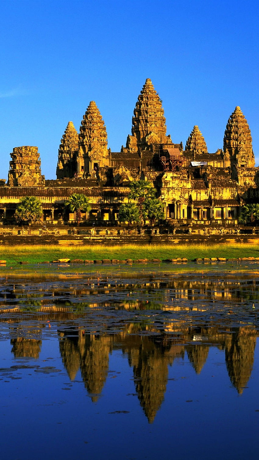 Golden Temple For Best Collection - Angkor Wat - & Background HD phone wallpaper