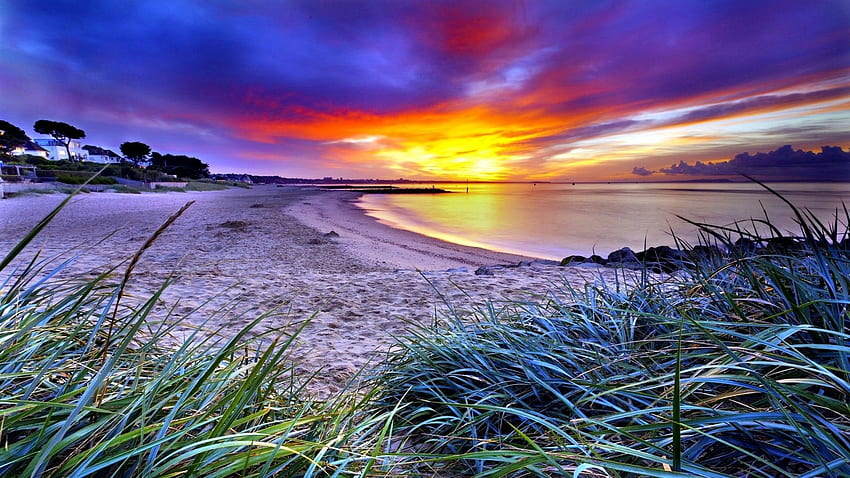 Beach Sunset, awan, langit, alam, rumput, matahari terbenam, pantai Wallpaper HD