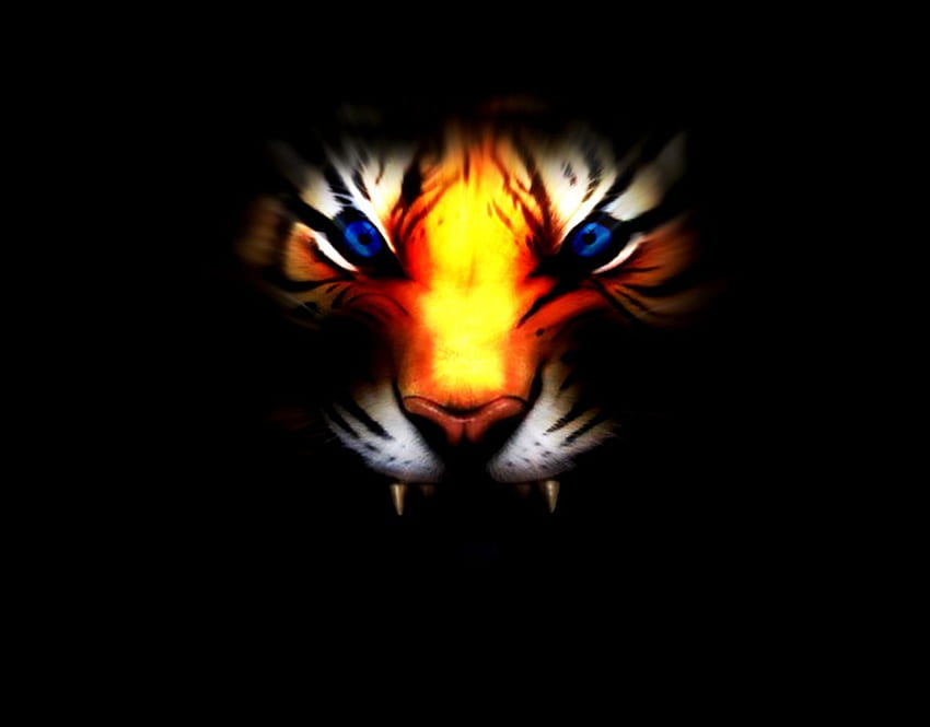 Бял тигър със сини очи 3D - Ядосан черен тигър - - HD тапет
