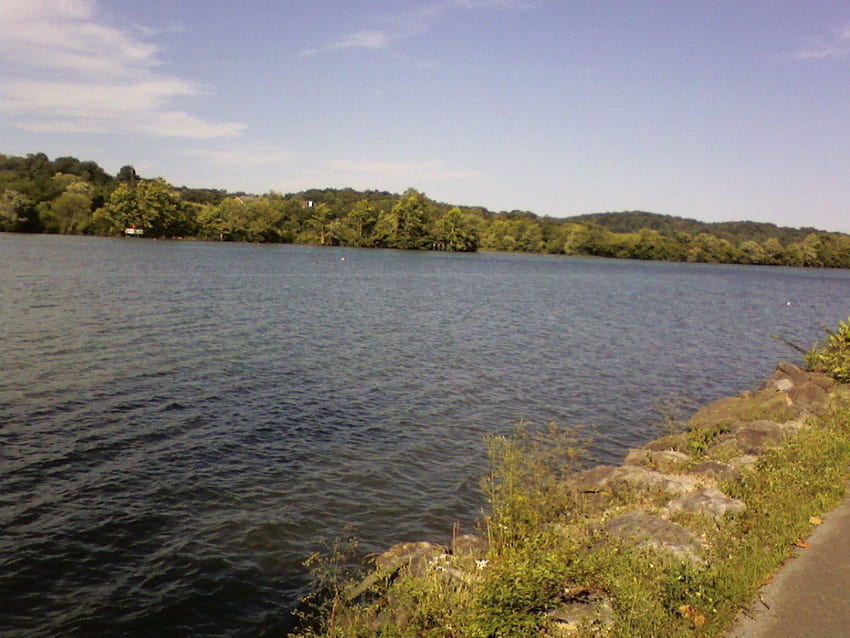 Tennessee Gölü, doğa, göl, tennessee HD duvar kağıdı