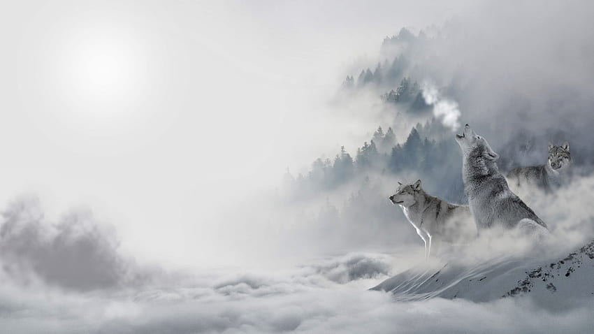 Dù là vật nuôi cùng với tính cách khó đoán, chó sói vẫn là loài động vật chuyên săn mồi đầy tinh thần chiến đấu. Với hình nền Wolves in the fog HD wallpaper, bạn sẽ đón nhận bầu không khí cuồng nhiệt và mạnh mẽ của bầy sói ẩn trong sương mù.