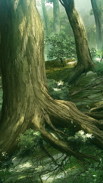Download Explore the beauty of the Anime Forest Wallpaper  Wallpaperscom