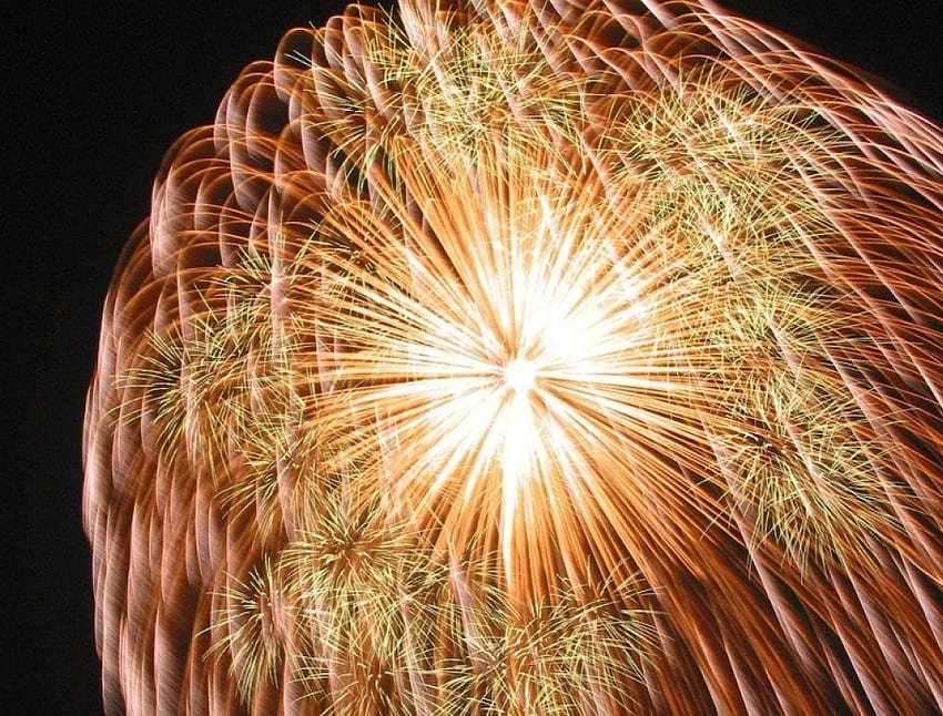 Golden Palm Fireworks, night, golden, fireworks, palm shaped, celebrate, sky, new year HD wallpaper