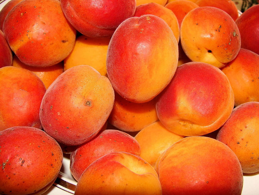 ผลไม้ อาหาร ลูกพีช สุก อร่อย อร่อย แอปริคอต วอลล์เปเปอร์ HD