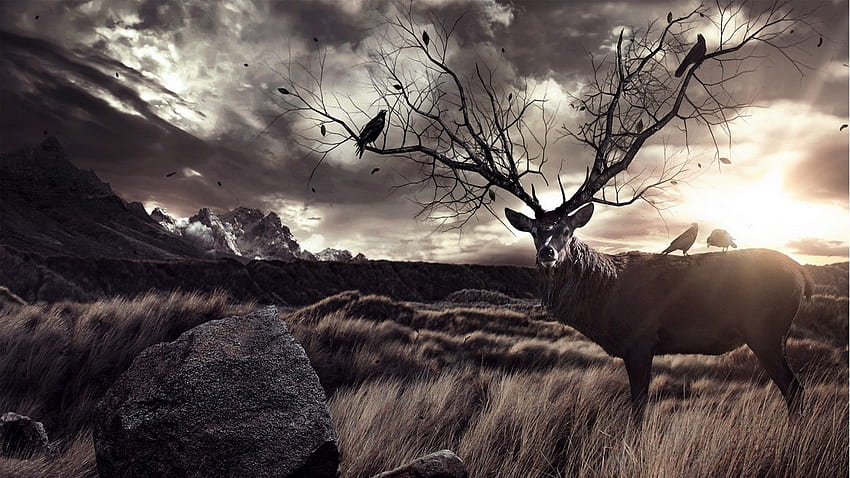 23 Hunting Backgrounds Wallpapers Images Pictures  Bow hunting Hunting  Bow hunting tips