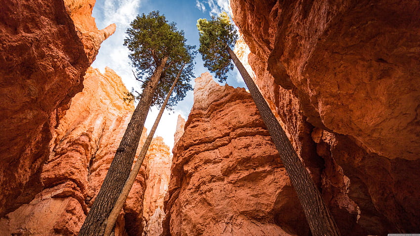 Geology, Grand Canyon National Park, Formation, Bryce Canyon City HD ...