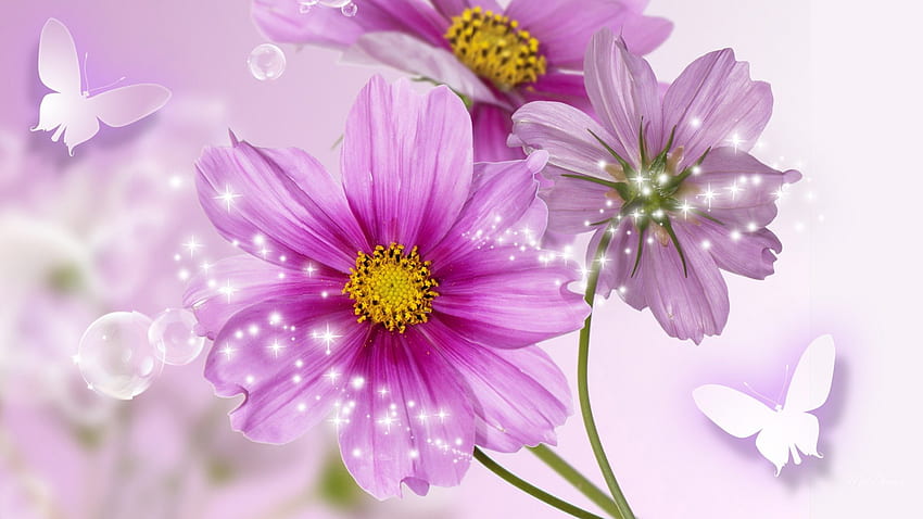 Feier des Kosmos, Wildblumen, Stift, Glühen, Papillon, Sterne, Frühling, Sommer, Schmetterlinge, Lavendel, Glanz, Blumen, Kosmo, Fleurs HD-Hintergrundbild