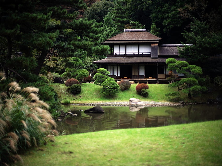 Belle Maison Japonaise Widescreen - Maison Japonaise Traditionnelle Dans La Forêt Fond d'écran HD