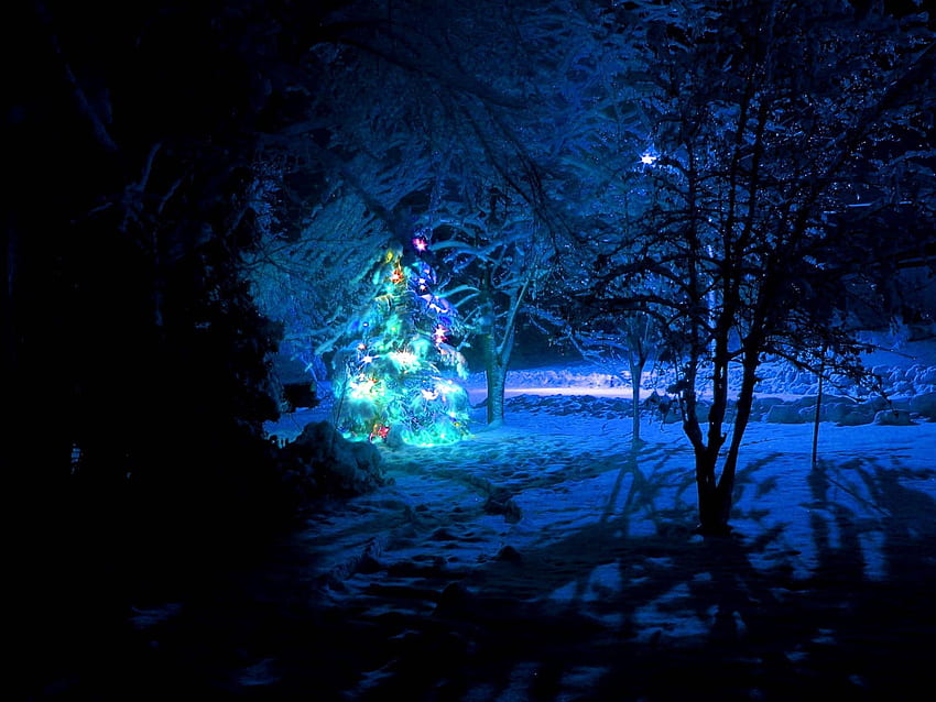 Feiertage, Neujahr, Schnee, Wald, Weihnachten, Weihnachtsbaum, Girlande, Girlanden HD-Hintergrundbild