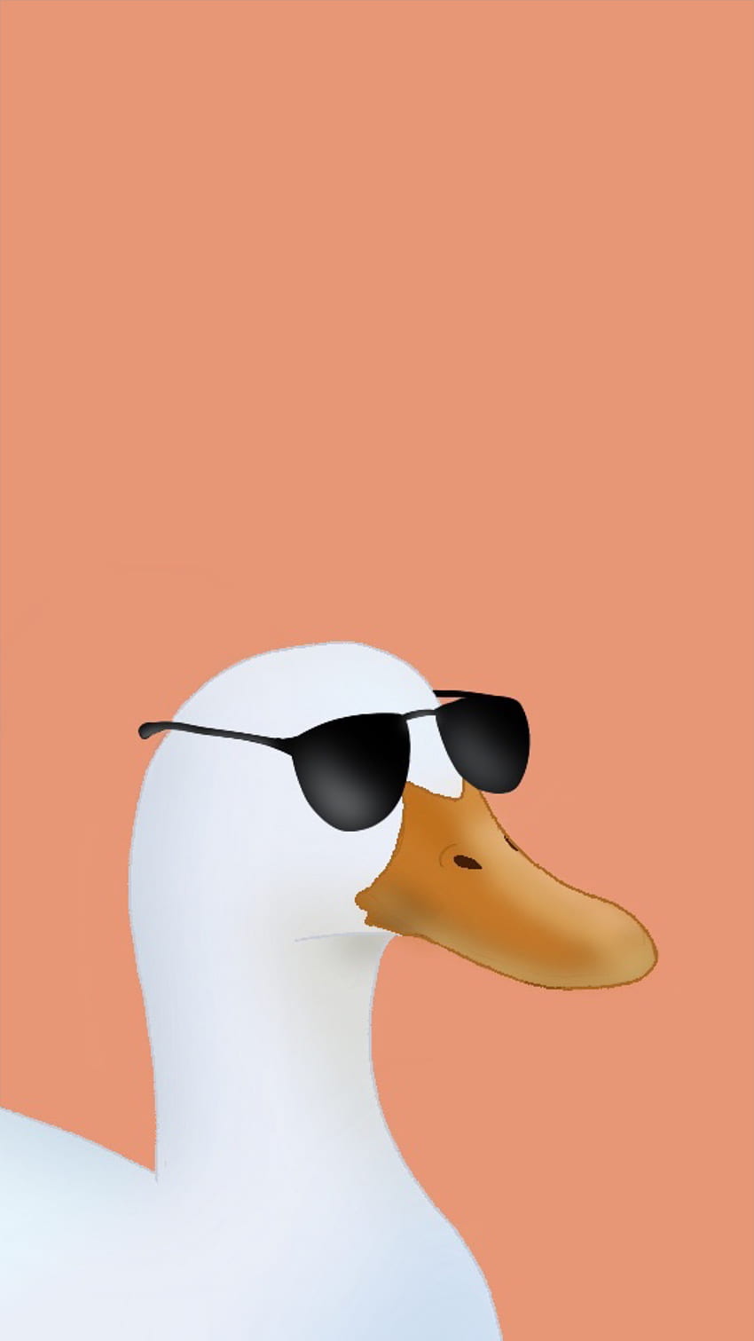 Duck with sunglasses, orange, animal, funny HD phone wallpaper