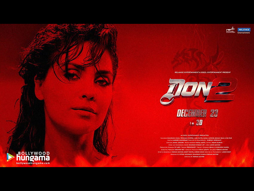 Don 2 2011 . Don 2 2011 . Lara Dutta 157 Bollywood Hungama HD wallpaper