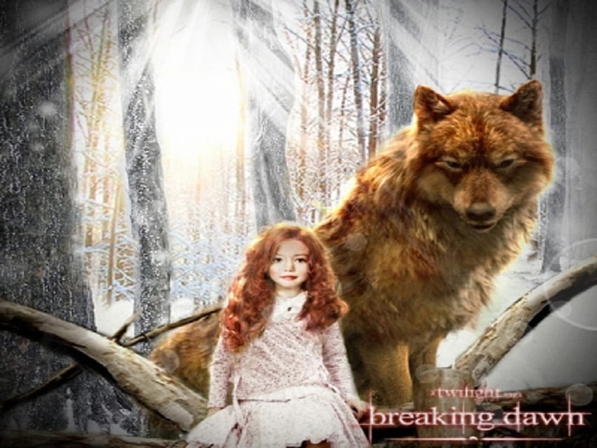 Renesmee And Wolf Jacob, crepuscolo, intrattenimento, film, breaking dawn, lupo, renesmee Sfondo HD