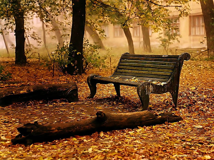 Classy Bro on Funny. Autumn scenery, Old benches, Outdoor, Funny Autumn HD wallpaper