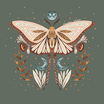 Moth Art designs themes templates and downloadable graphic elements on  Dribbble
