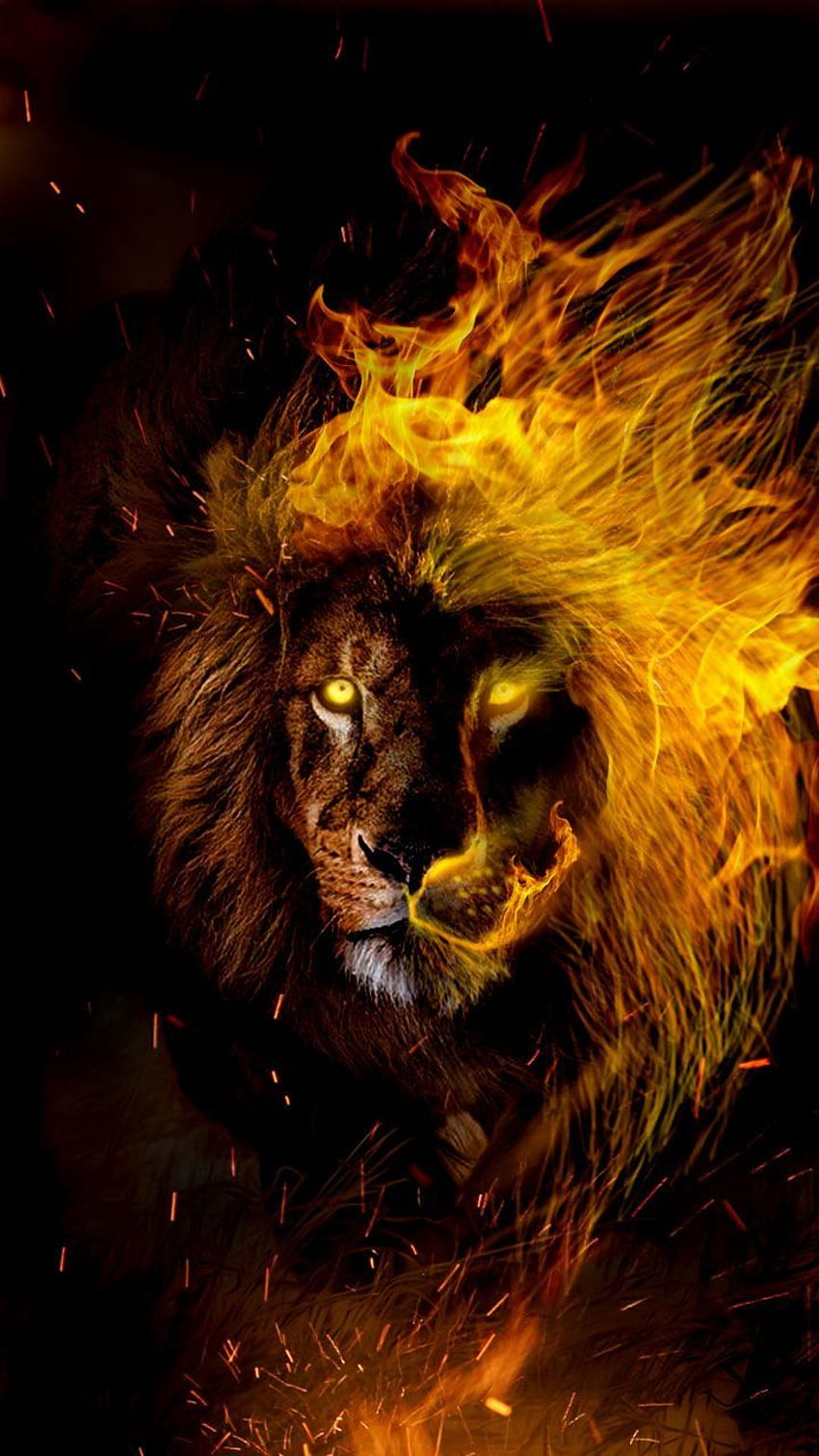Leo in flames. Lion for the Leo zodiac lovers. Get your, Leo Aesthetic HD phone wallpaper