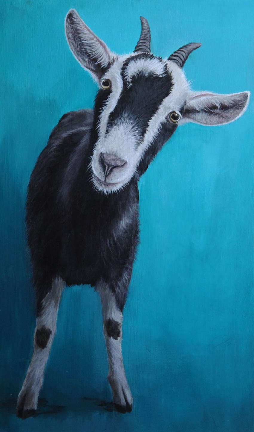 acrylic on board florance the goat title: Can I come with you? By Becky Wilson Prints available .uk. Goat paintings, Goats, Animal paintings, Goat Art HD phone wallpaper