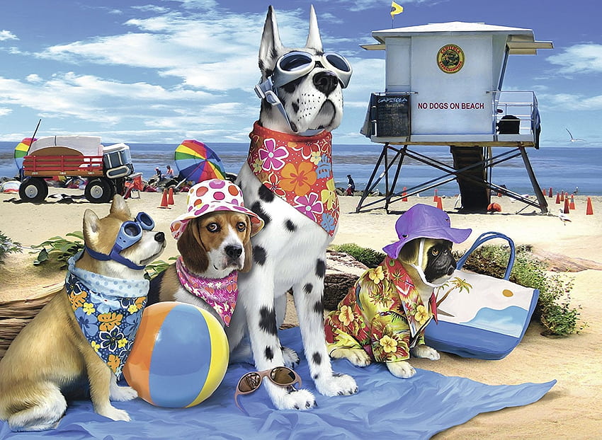 No dogs on the beach, sea, summer, dog, art, funny, vara, beach HD wallpaper