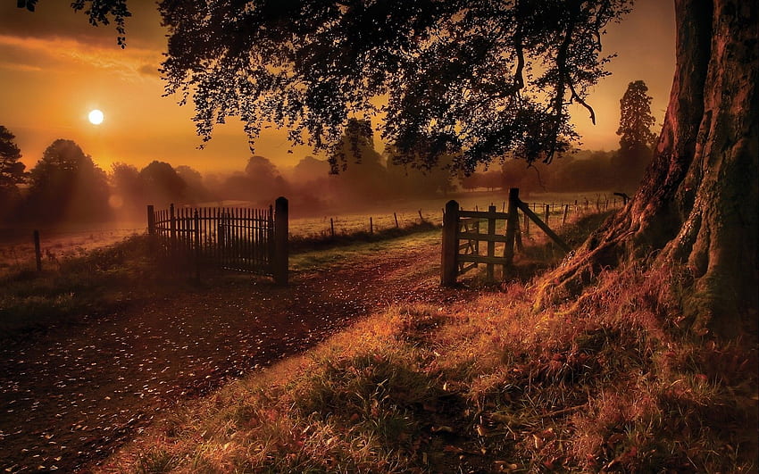 Land Herbst Sonnenuntergang HD-Hintergrundbild