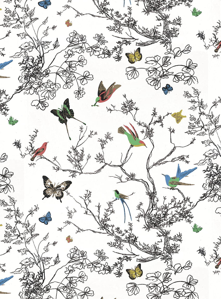 Schumacher Exuberant Prints Birds & Butterflies 15' L x 27 W HD phone wallpaper