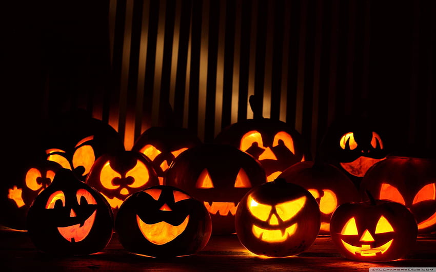 Halloween Live 2016 Evil pumpkin, Halloween Zombie HD wallpaper
