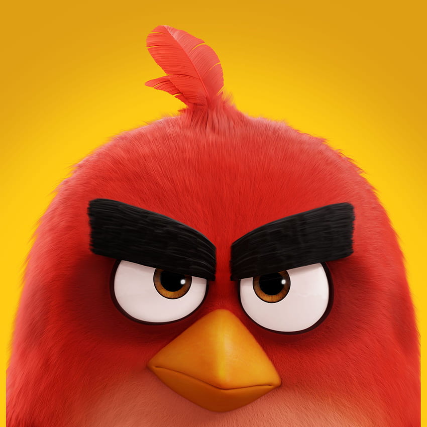 The Angry Birds Movie (2016) , iPhone & iPad HD phone wallpaper