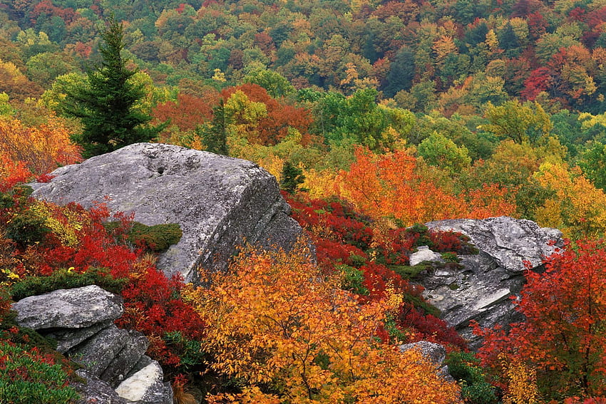 Fall Escapes: Blue Ridge Parkway