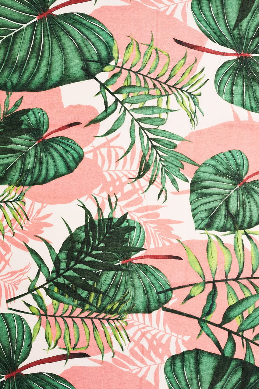 Download Cute Summer Desktop Tropical Fruits Wallpaper  Wallpaperscom
