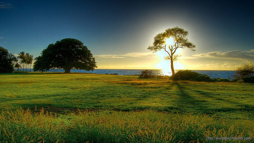 Windows 10 Nature . Beautiful nature, Beautiful views nature, nature HD  wallpaper | Pxfuel
