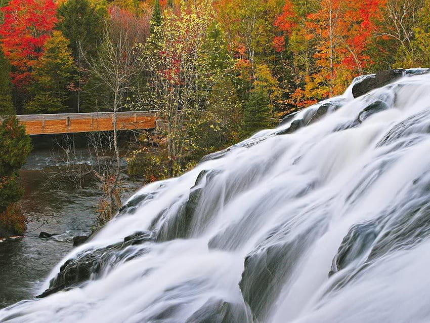 急速、流れる、秋、滝、岩、木、秋、自然、水、森 高画質の壁紙