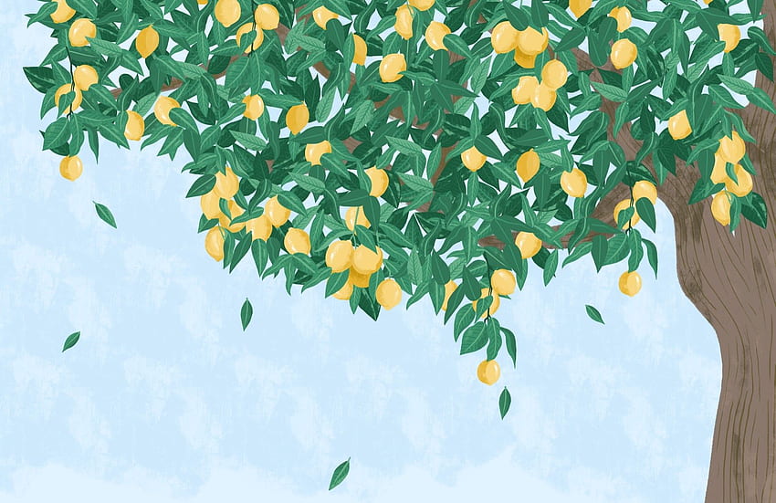 レモンの木の壁画、柑橘類の木 高画質の壁紙