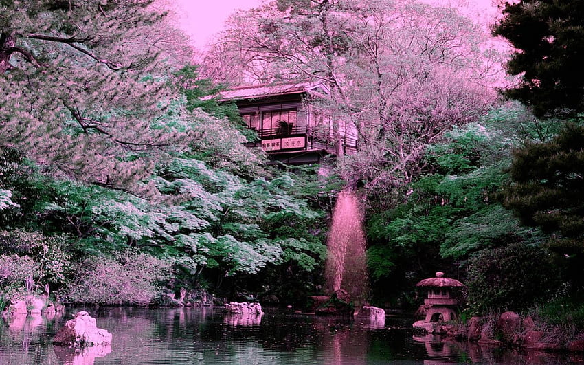 сакура фантазия, розово, япония, сакура, киото, пролет HD тапет